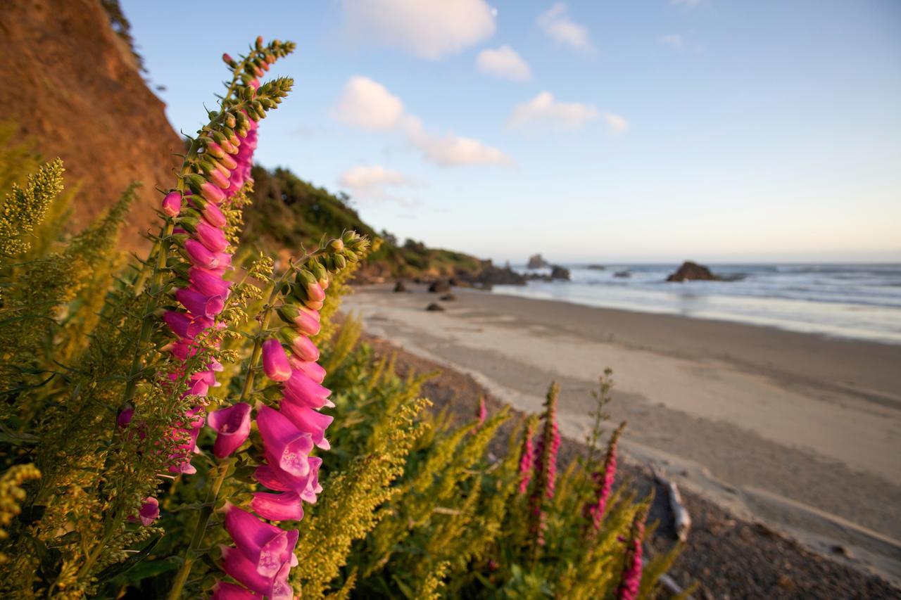 Inn At Cannon Beach Εξωτερικό φωτογραφία